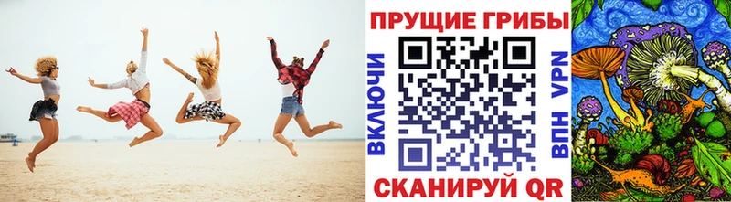 Купить где  Североуральск  Галлюциногенные грибы MAGIC MUSHROOMS 